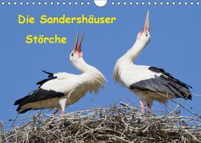 Die Sandershäuser Störche (Wandkalender 2019 DIN A4 quer) von Martin,  Wilfried