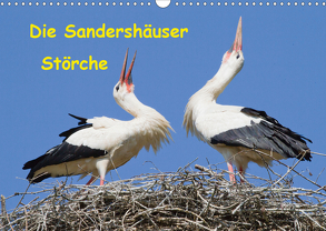 Die Sandershäuser Störche (Wandkalender 2020 DIN A3 quer) von Martin,  Wilfried