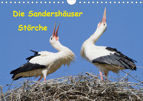 Die Sandershäuser Störche (Wandkalender 2020 DIN A4 quer) von Martin,  Wilfried