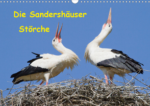 Die Sandershäuser Störche (Wandkalender 2021 DIN A3 quer) von Martin,  Wilfried