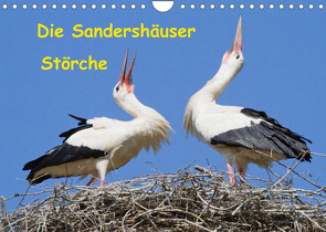 Die Sandershäuser Störche (Wandkalender 2022 DIN A4 quer) von Martin,  Wilfried