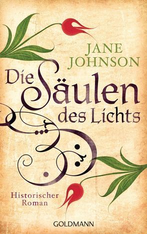 Die Säulen des Lichts von Hollanda,  Roberto de, Johnson,  Jane, pociao