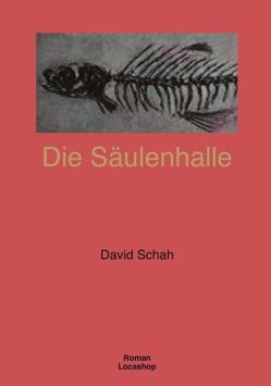 Die Säulenhalle von Schah,  David