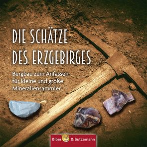 Die Schätze des Erzgebirges von Jürchott,  Carola