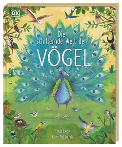 Die schillernde Welt der Vögel von Held,  Andreas, Lindo,  David, McElfatrick,  Claire