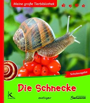 Die Schnecke von Brauner,  Anne, Starosta,  Paul