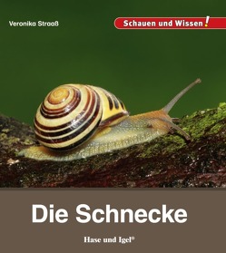 Die Schnecke von Straaß,  Veronika