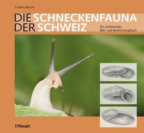 Die Schneckenfauna der Schweiz von Boschi,  Cristina, Kappeler,  Markus, Tanner,  Karl Martin