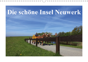 Die schöne Insel Neuwerk (Wandkalender 2020 DIN A3 quer) von S. + J. Schröder,  AWS, Schroeder,  Susanne, Werbeagentur