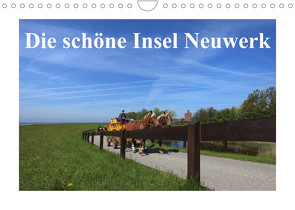 Die schöne Insel Neuwerk (Wandkalender 2023 DIN A4 quer) von S. + J. Schröder,  AWS, Schroeder,  Susanne, Werbeagentur