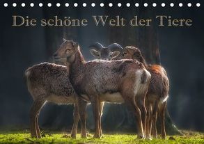 Die schöne Welt der Tiere (Tischkalender 2018 DIN A5 quer) von Swierczyna,  Eleonore