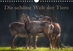 Die schöne Welt der Tiere (Wandkalender 2018 DIN A4 quer) von Swierczyna,  Eleonore