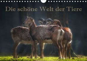 Die schöne Welt der Tiere (Wandkalender 2019 DIN A4 quer) von Swierczyna,  Eleonore