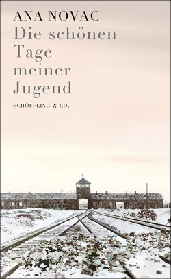 Die schönen Tage meiner Jugend von Moldenhauer,  Eva, Novac,  Ana