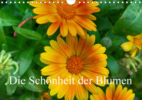 Die Schönheit der Blumen (Wandkalender 2021 DIN A4 quer) von Morlok,  Andreas