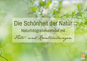 Die Schönheit der Natur – Naturfotografie-Kalender mit Foto- und Kreativübungen (Wandkalender 2021 DIN A2 quer) von Mänz,  Jana