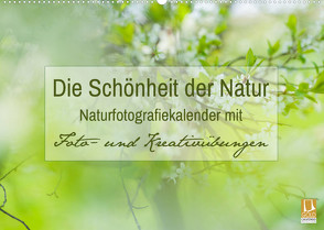 Die Schönheit der Natur – Naturfotografie-Kalender mit Foto- und Kreativübungen (Wandkalender 2022 DIN A2 quer) von Mänz,  Jana