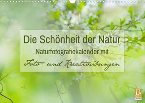 Die Schönheit der Natur – Naturfotografie-Kalender mit Foto- und Kreativübungen (Wandkalender 2022 DIN A3 quer) von Mänz,  Jana