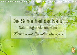 Die Schönheit der Natur – Naturfotografie-Kalender mit Foto- und Kreativübungen (Wandkalender 2022 DIN A4 quer) von Mänz,  Jana