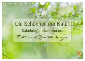 Die Schönheit der Natur – Naturfotografie-Kalender mit Foto- und Kreativübungen (Wandkalender 2024 DIN A4 quer), CALVENDO Monatskalender von Mänz,  Jana