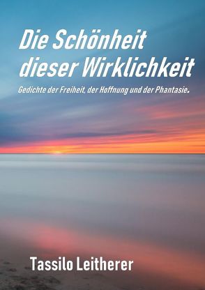 Die Schönheit dieser Wirklichkeit von Leitherer,  Tassilo