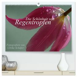 Die Schönheit von Regentropfen (hochwertiger Premium Wandkalender 2024 DIN A2 quer), Kunstdruck in Hochglanz von Schäfer,  Ulrike