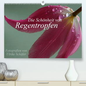 Die Schönheit von Regentropfen (Premium, hochwertiger DIN A2 Wandkalender 2021, Kunstdruck in Hochglanz) von Schäfer,  Ulrike