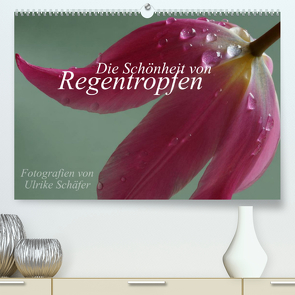 Die Schönheit von Regentropfen (Premium, hochwertiger DIN A2 Wandkalender 2022, Kunstdruck in Hochglanz) von Schäfer,  Ulrike