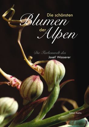 Die schönsten Blumen der Alpen von Hilpold,  Andreas, Wasserer,  Josef