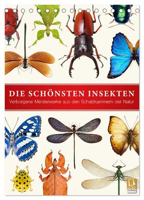 Die schönsten Insekten (Tischkalender 2024 DIN A5 hoch), CALVENDO Monatskalender von Art Print,  Wildlife