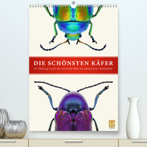 Die schönsten Käfer (Premium, hochwertiger DIN A2 Wandkalender 2022, Kunstdruck in Hochglanz) von Art Print,  Wildlife