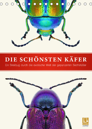 Die schönsten Käfer (Tischkalender 2022 DIN A5 hoch) von Art Print,  Wildlife