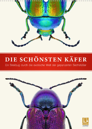 Die schönsten Käfer (Wandkalender 2022 DIN A2 hoch) von Art Print,  Wildlife