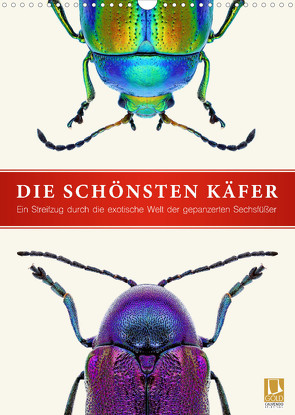 Die schönsten Käfer (Wandkalender 2022 DIN A3 hoch) von Art Print,  Wildlife