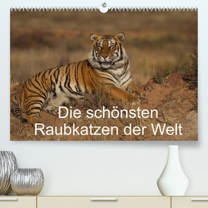 Die schönsten Raubkatzen der Welt (Premium, hochwertiger DIN A2 Wandkalender 2023, Kunstdruck in Hochglanz) von Vollborn,  Marion