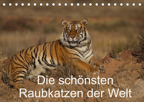 Die schönsten Raubkatzen der Welt (Tischkalender 2023 DIN A5 quer) von Vollborn,  Marion