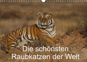Die schönsten Raubkatzen der Welt (Wandkalender 2023 DIN A3 quer) von Vollborn,  Marion