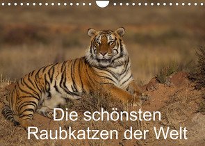 Die schönsten Raubkatzen der Welt (Wandkalender 2023 DIN A4 quer) von Vollborn,  Marion