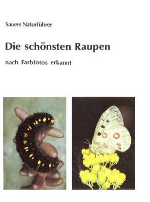 Die schönsten Raupen – von Sauer,  Frieder