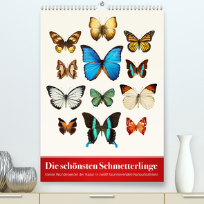 Die schönsten Schmetterlinge (Premium, hochwertiger DIN A2 Wandkalender 2022, Kunstdruck in Hochglanz) von Art Print,  Wildlife