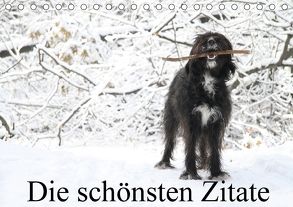 Die schönsten Zitate (Tischkalender 2018 DIN A5 quer) von Itschert,  Clarissa