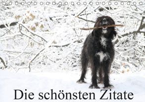 Die schönsten Zitate (Tischkalender 2019 DIN A5 quer) von Itschert,  Clarissa