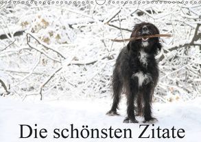 Die schönsten Zitate (Wandkalender 2019 DIN A3 quer) von Itschert,  Clarissa