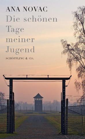 Die schönen Tage meiner Jugend von Moldenhauer,  Eva, Novac,  Ana