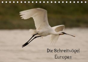 Die Schreitvögel Europas (Tischkalender 2019 DIN A5 quer) von Erlwein,  Winfried