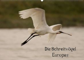 Die Schreitvögel Europas (Wandkalender 2019 DIN A2 quer) von Erlwein,  Winfried