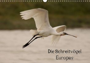 Die Schreitvögel Europas (Wandkalender 2019 DIN A3 quer) von Erlwein,  Winfried