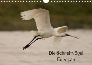 Die Schreitvögel Europas (Wandkalender 2019 DIN A4 quer) von Erlwein,  Winfried