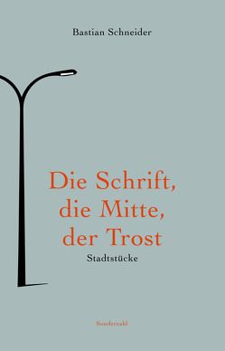 Die Schrift, die Mitte, der Trost von Schneider,  Bastian