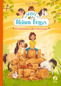 Die Schule der kleinen Ponys – Ein Heuhaufen voller Geheimnisse von Reitz,  Nadine, Wolff,  Anne